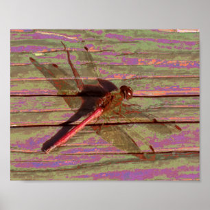 Dragonfly farbenfroh poster