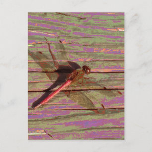 Dragonfly farbenfroh postkarte
