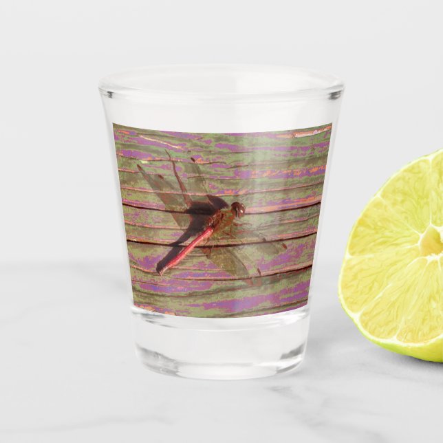 Dragonfly farbenfroh schnapsglas (Vorderseite)