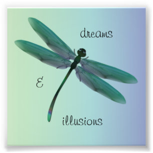 Dragonfly Fotodruck