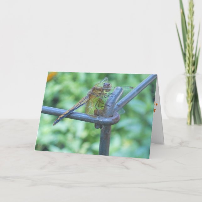 "Dragonfly Garden" Get Well Card #2 Karte (Vorderseite)