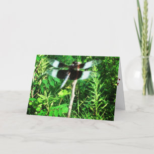 "Dragonfly" Get Well Card Karte