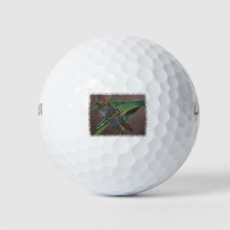 Dragonfly Golfball