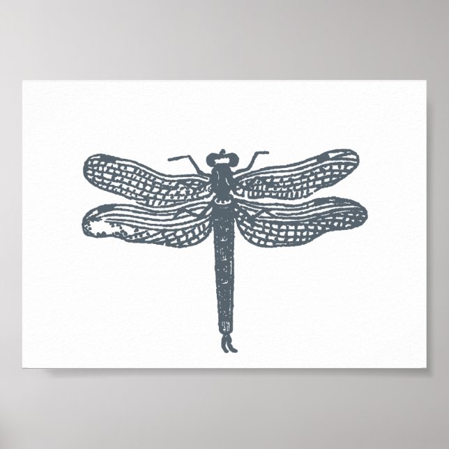 Dragonfly Grays Print Poster (Vorne)