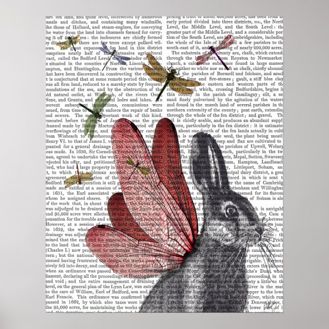Dragonfly Hare Poster (Vorne)
