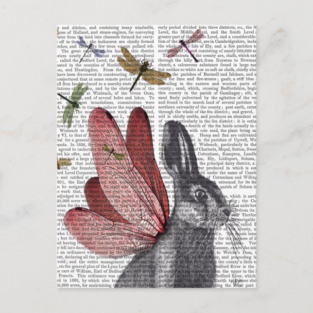 Dragonfly Hare Postkarte (Vorderseite)