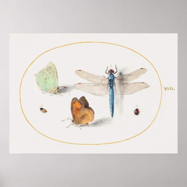 Dragonfly Illustration Poster (Vorne)
