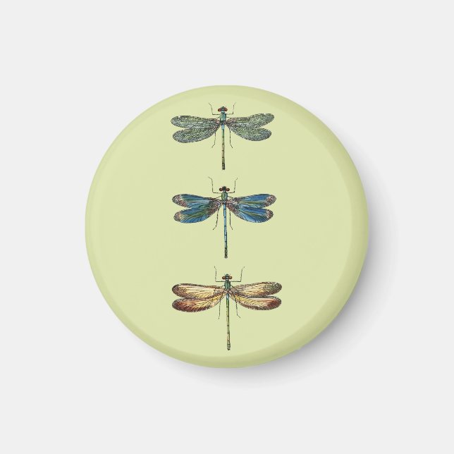 Dragonfly-Illustrationen Magnet (Vorne)