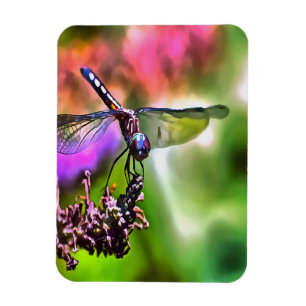 Dragonfly in grüner und blauer realistischer Maler Magnet