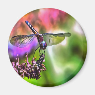 Dragonfly in grüner und blauer realistischer Maler Magnet
