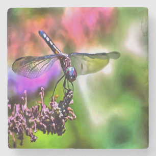 Dragonfly in grüner und blauer realistischer Maler Steinuntersetzer