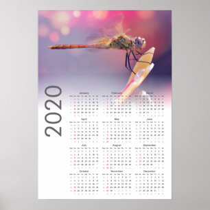 Dragonfly-Kalender 2020-Poster Poster
