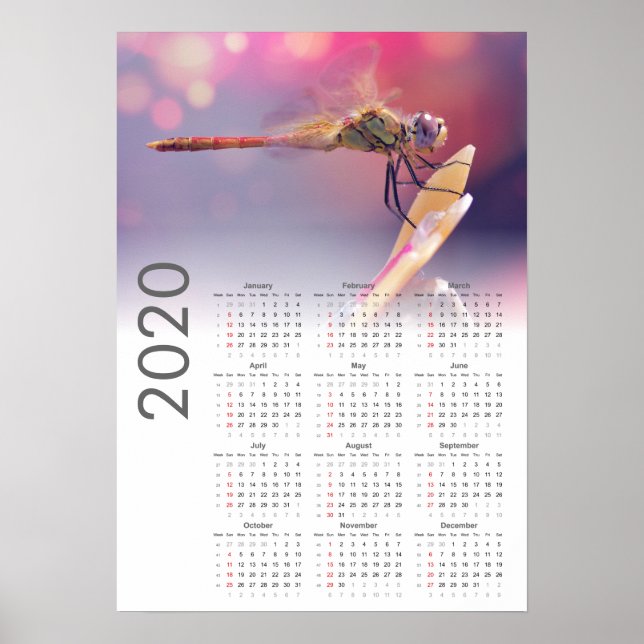 Dragonfly-Kalender 2020-Poster Poster (Vorne)