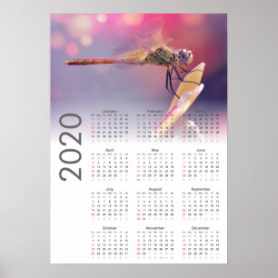 Dragonfly-Kalender 2020-Poster Poster