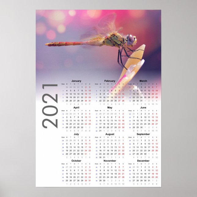 Dragonfly-Kalender 2021 Poster - Montag starten (Vorne)