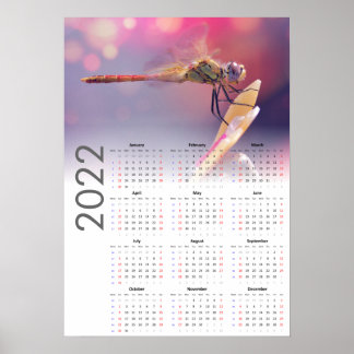 Dragonfly Kalender 2022 Poster - Sonntagsstart