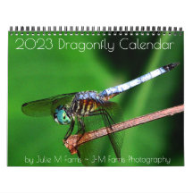 Dragonfly-Kalender 2023