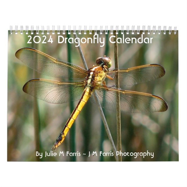 Dragonfly-Kalender 2024 Kalender (Titelbild)