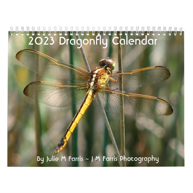 Dragonfly-Kalender 2024 Kalender (Titelbild)