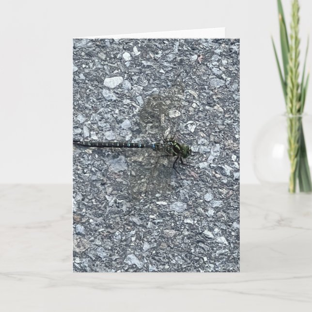 Dragonfly Karte (Vorderseite)