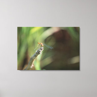 Dragonfly Leinwanddruck
