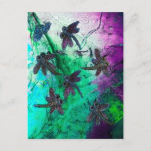 Dragonfly Magic Postkarte