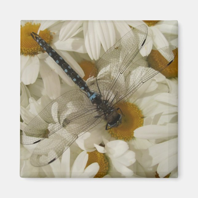 Dragonfly Magnet (Vorne)