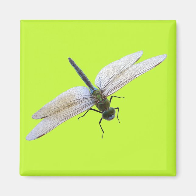 Dragonfly Magnet (Vorne)