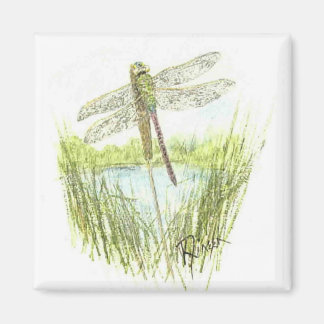 Dragonfly-Magnet Magnet