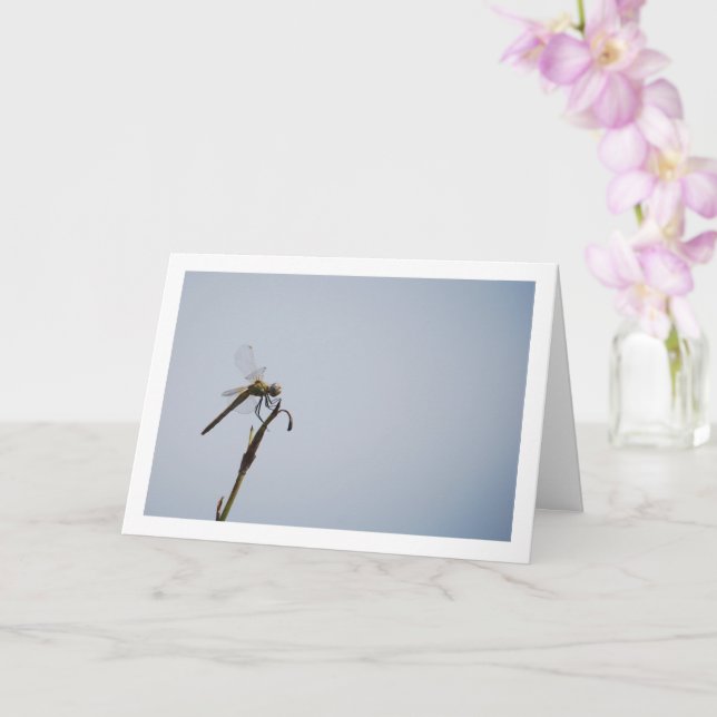 Dragonfly mit Cane Stick Karte (Orchidee)