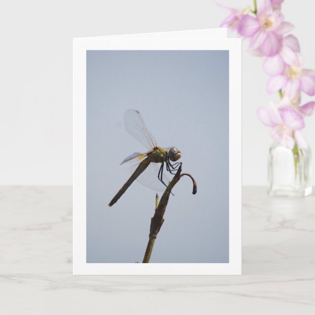 Dragonfly mit Cane Stick Karte (Orchidee)