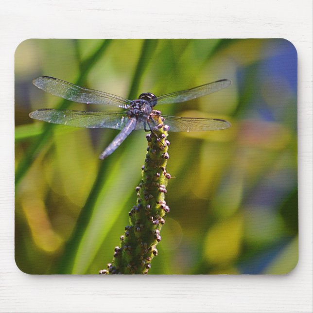 Dragonfly Mousepad (Vorne)