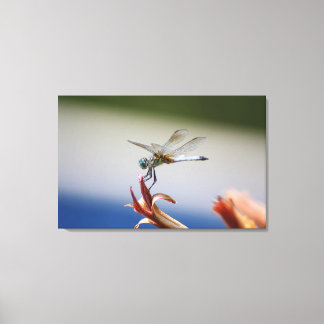 Dragonfly Naher Foto Mauer Kunst Leinwanddruck