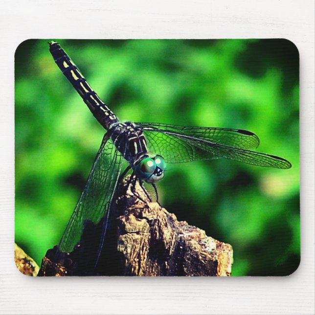 Dragonfly-Natur Mousepad (Vorne)