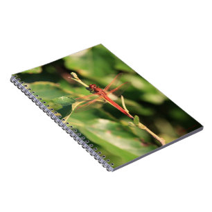 Dragonfly-Notebook Nr. 3725 Notizblock