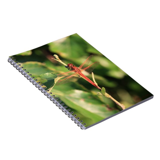 Dragonfly-Notebook Nr. 3725 Notizblock (Rechte Seite)