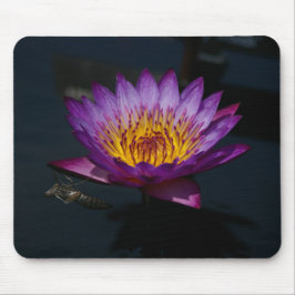 Dragonfly Nymph Lila Lotus Mousepad