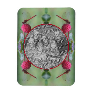 Dragonfly On Dogwood Frucht Gestalten Sie Ihr eige Magnet