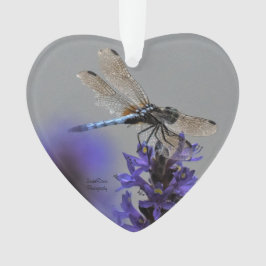 Dragonfly-Ornament Ornament