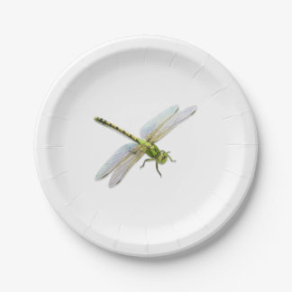 Dragonfly Pappteller