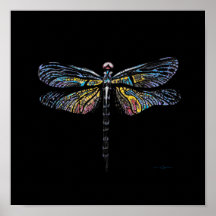 Dragonfly Pen Zeichnend Poster