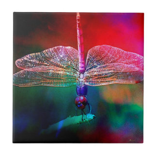 DRAGONFLY PINK DELIGHT.jpg Fliese