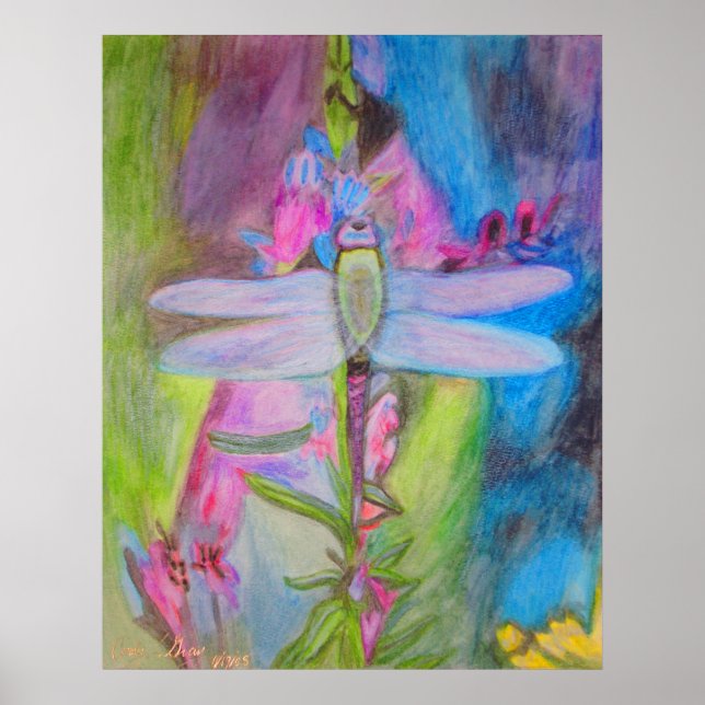 Dragonfly Poster (Vorne)