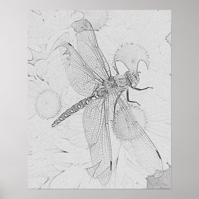 Dragonfly Poster (Vorne)
