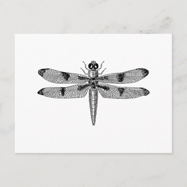 Dragonfly Postkarte (Vorderseite)
