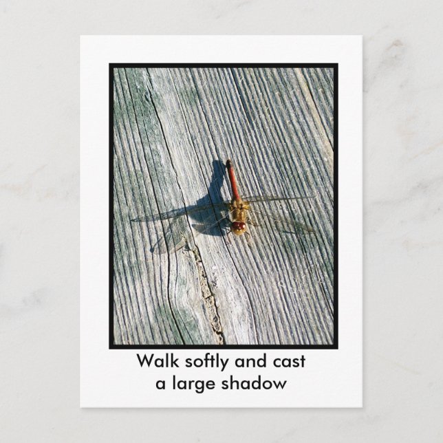 Dragonfly Postkarte (Vorderseite)