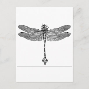 Dragonfly Postkarte