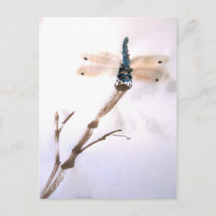 Dragonfly Postkarte