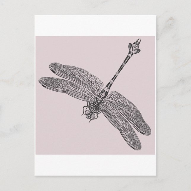 Dragonfly Postkarte (Vorderseite)