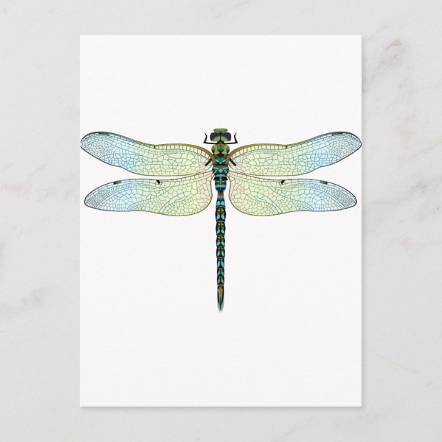 DragonFly Postkarte (Vorderseite)